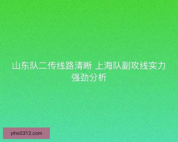 山东队二传线路清晰 上海队副攻线实力强劲分析